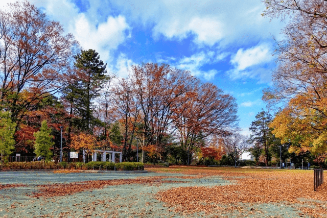 八幡山駅の写真|八幡山駅は治安悪い？