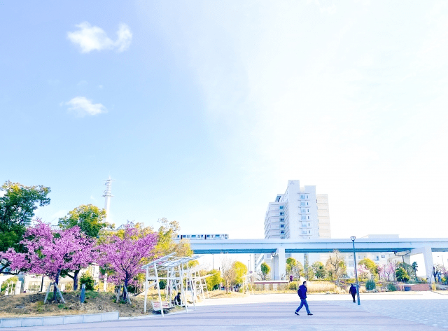 有明駅の写真|有明駅は治安悪い？