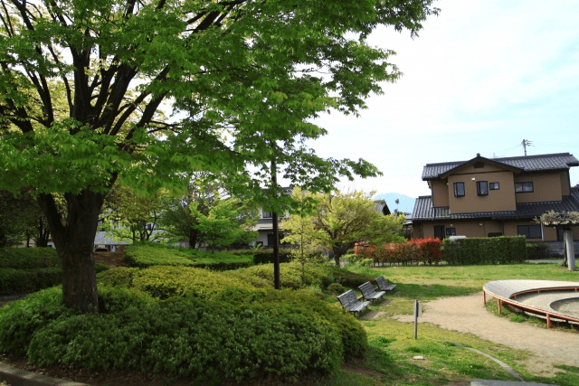 西新井大師西駅の写真