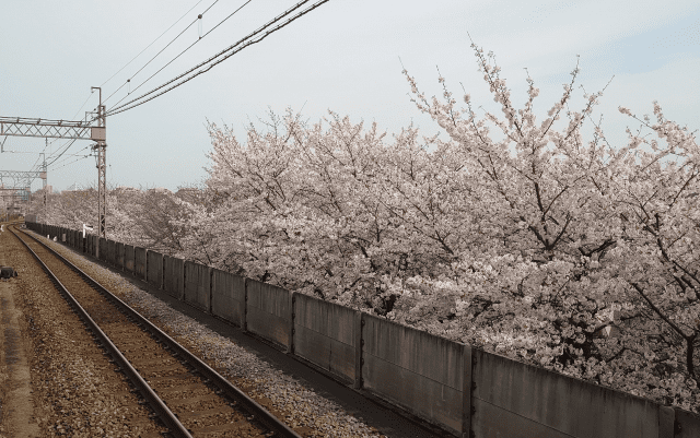 高井戸駅の写真|高井戸駅は治安悪い？