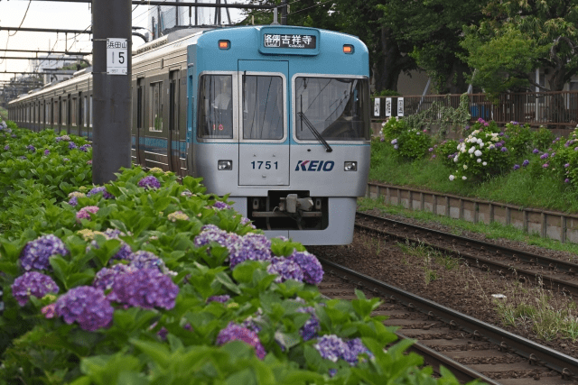 浜田山駅の写真|浜田山駅は治安悪い？