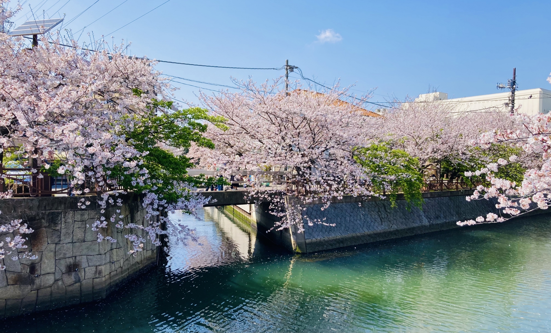 東中山駅の写真|東中山駅は治安悪い？