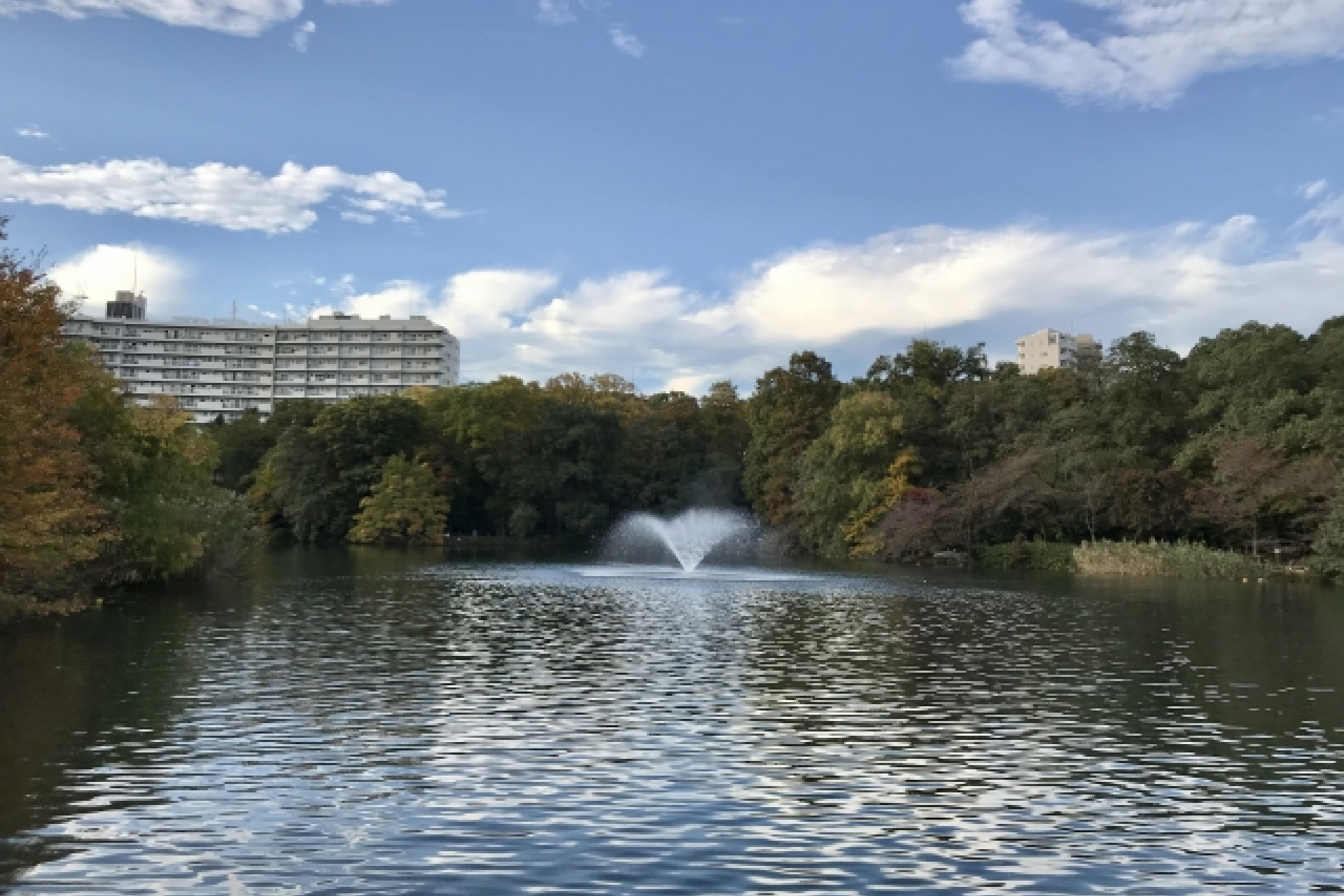 井の頭公園駅の写真|井の頭公園駅は治安悪い？