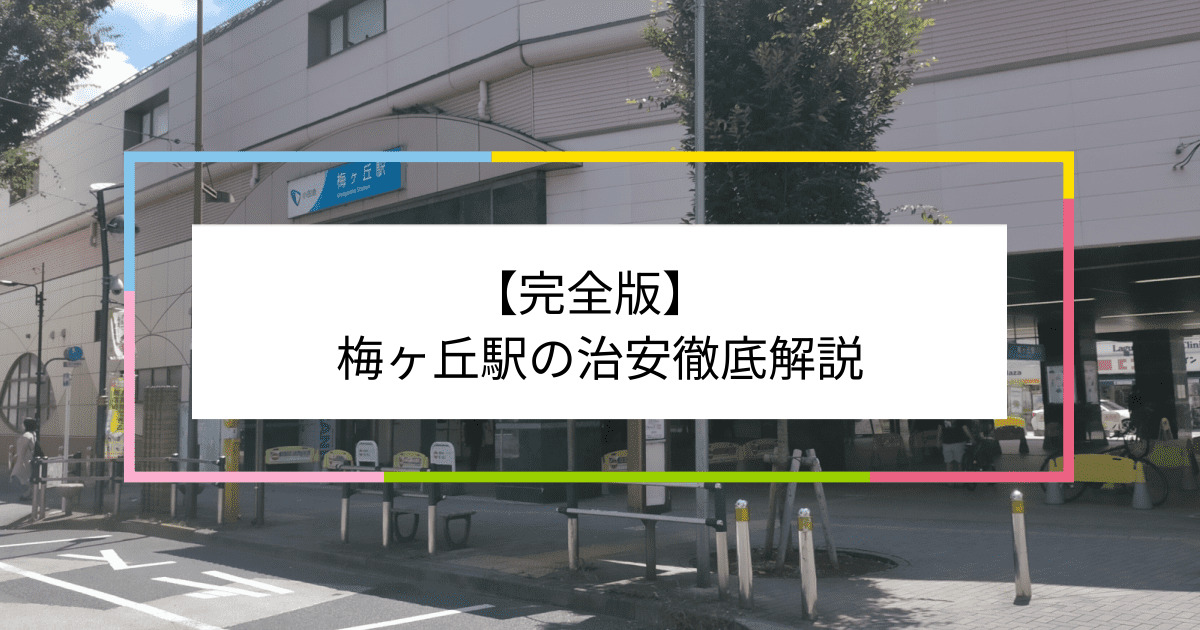 梅ヶ丘駅の写真|梅ヶ丘駅周辺の治安が気になる方への記事